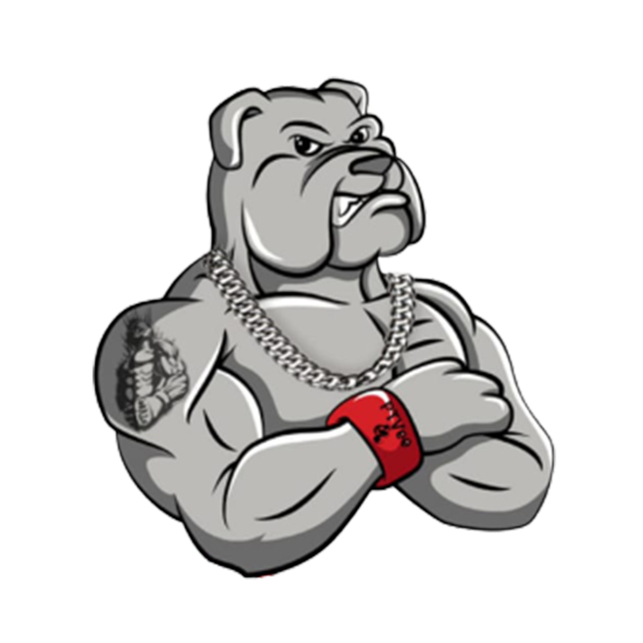 vidzboxingclub